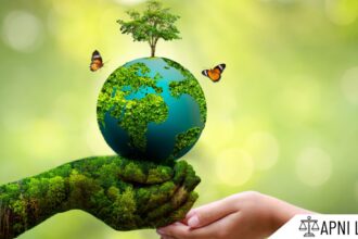 Understanding Environmental Laws In India: A Guide
