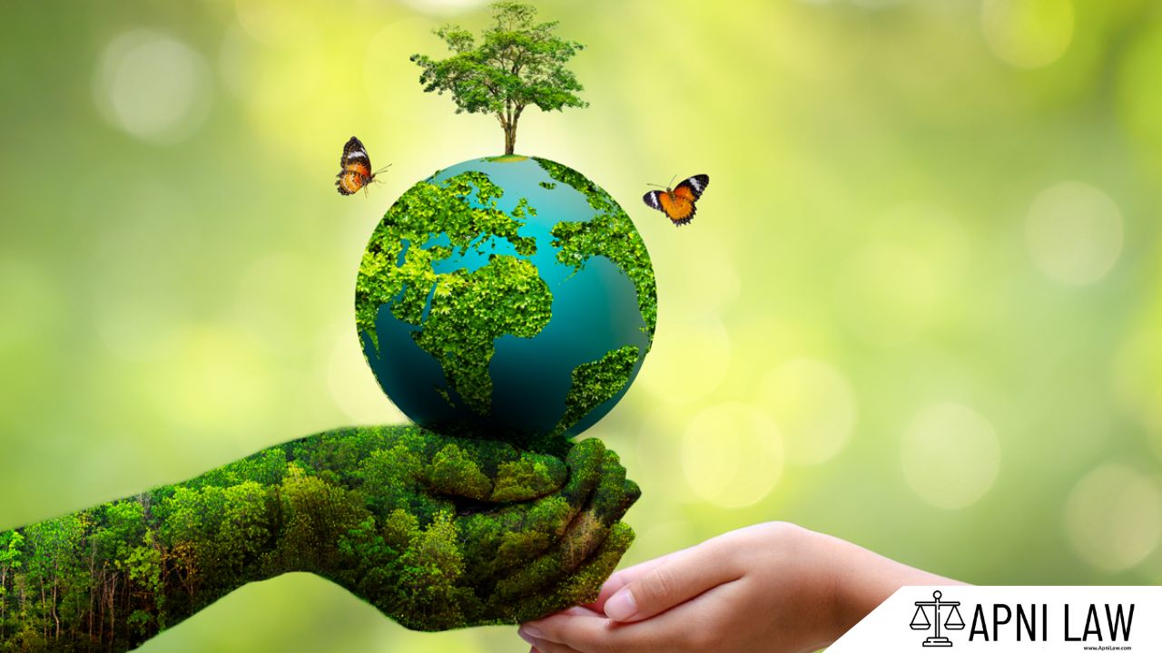 Understanding Environmental Laws In India: A Guide