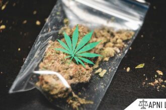 NDPS Act - Narcotics Substance