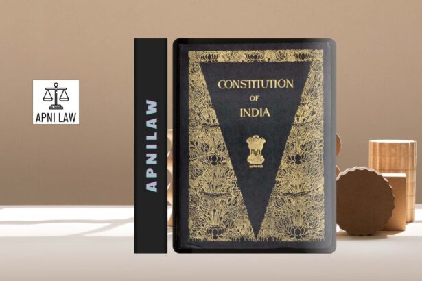 Indian Constitution