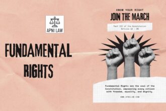 Fundamental Rights - Indian Constitution